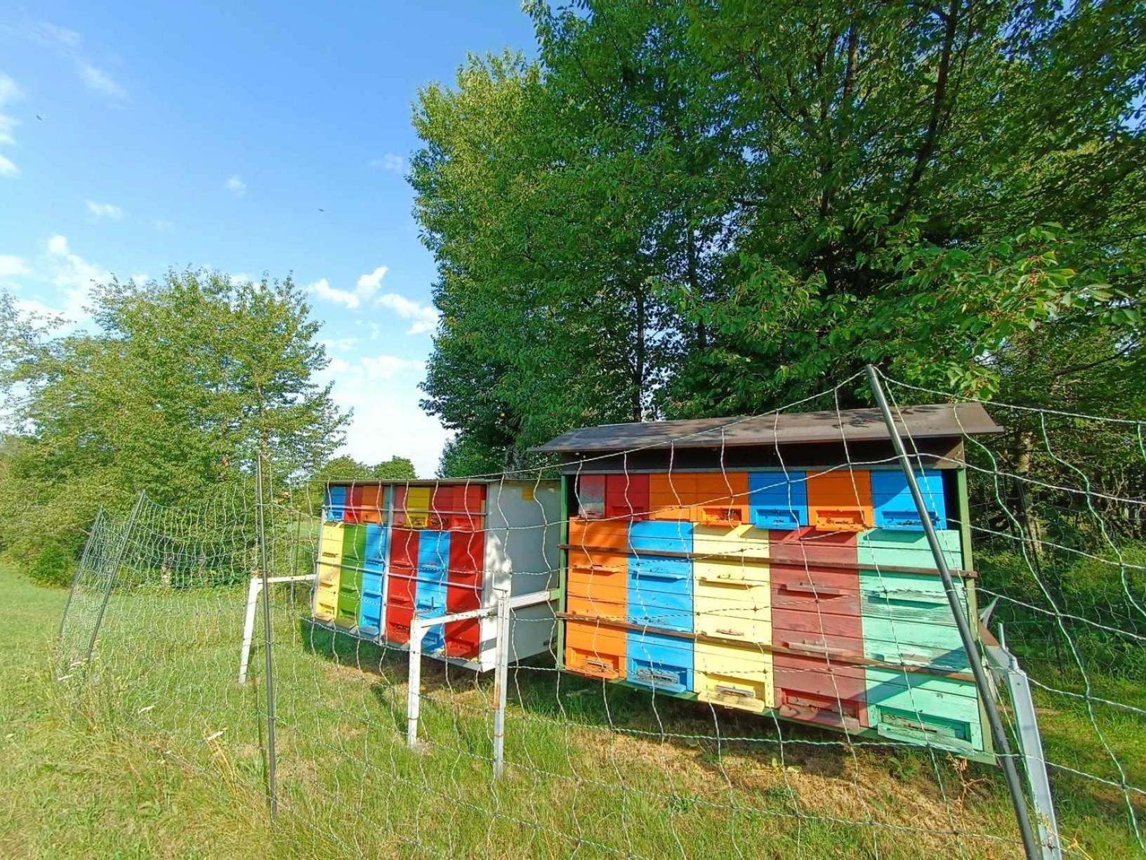 Apartma Mihatovi Pivka Extérieur photo
